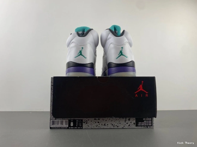 Kicktheory Jordan Air 136027-108 Retro Grape (2013) 5 0704